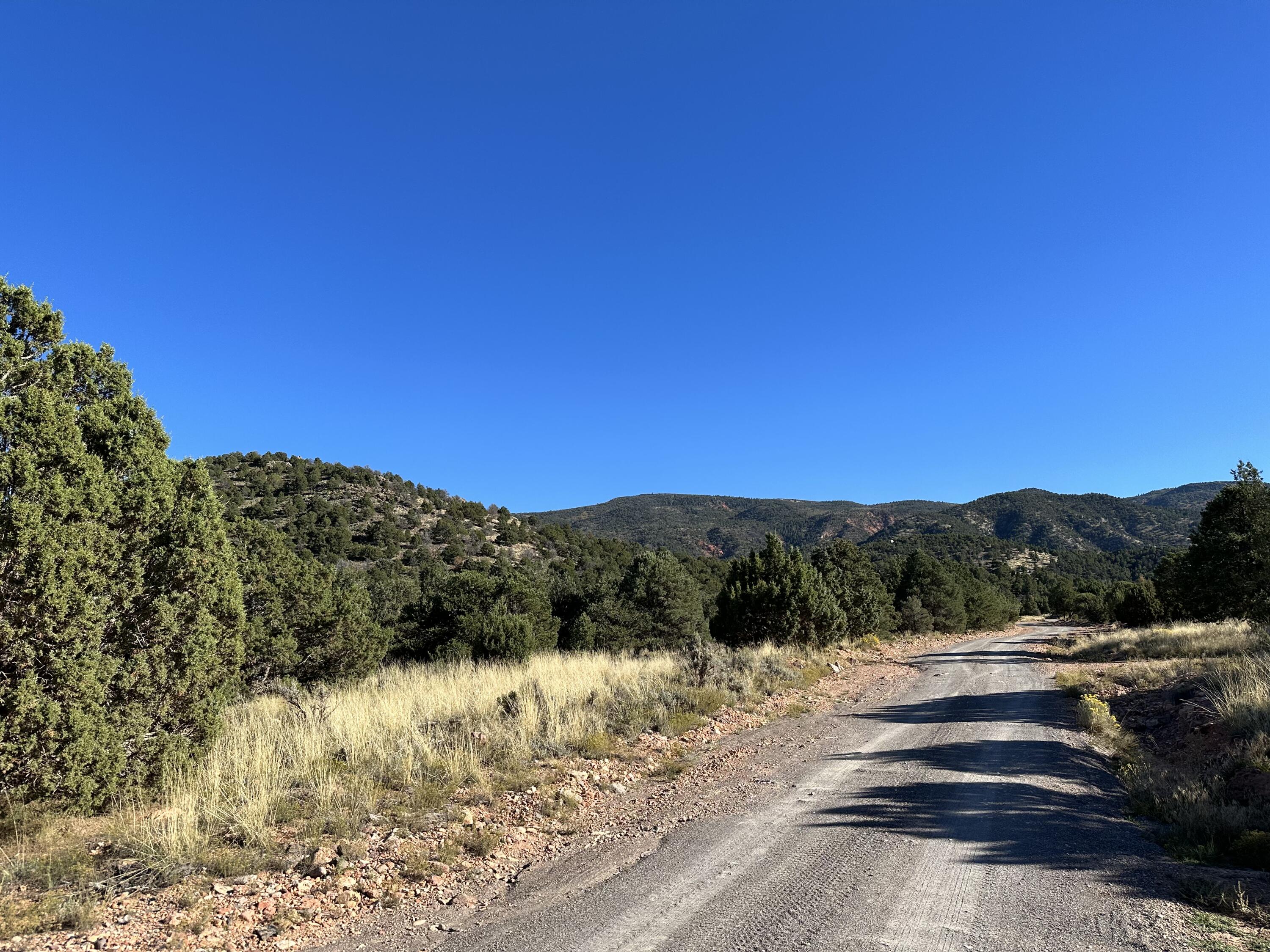 1503 S RED CANYON DR Unit: 28