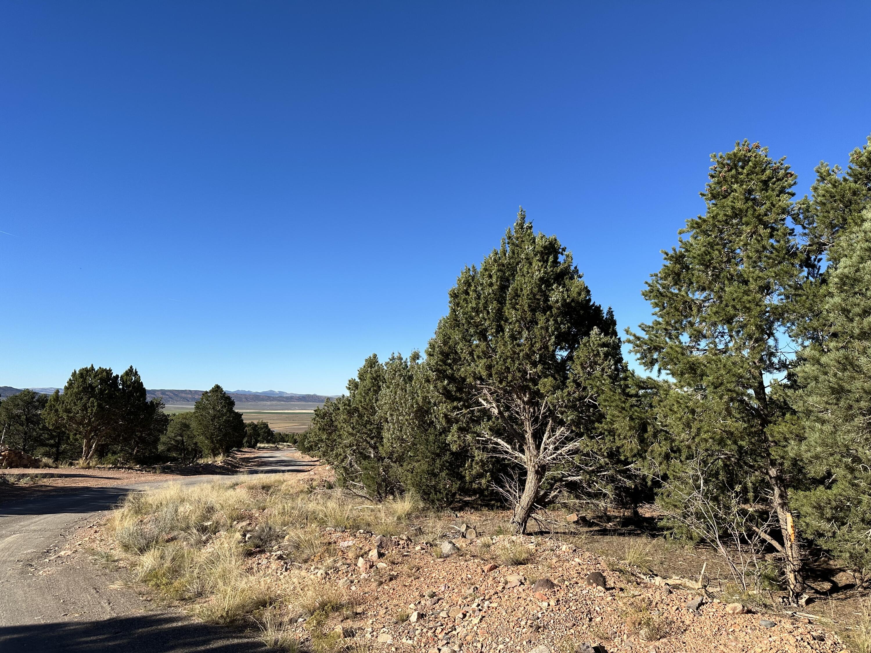 1503 S RED CANYON DR Unit: 28