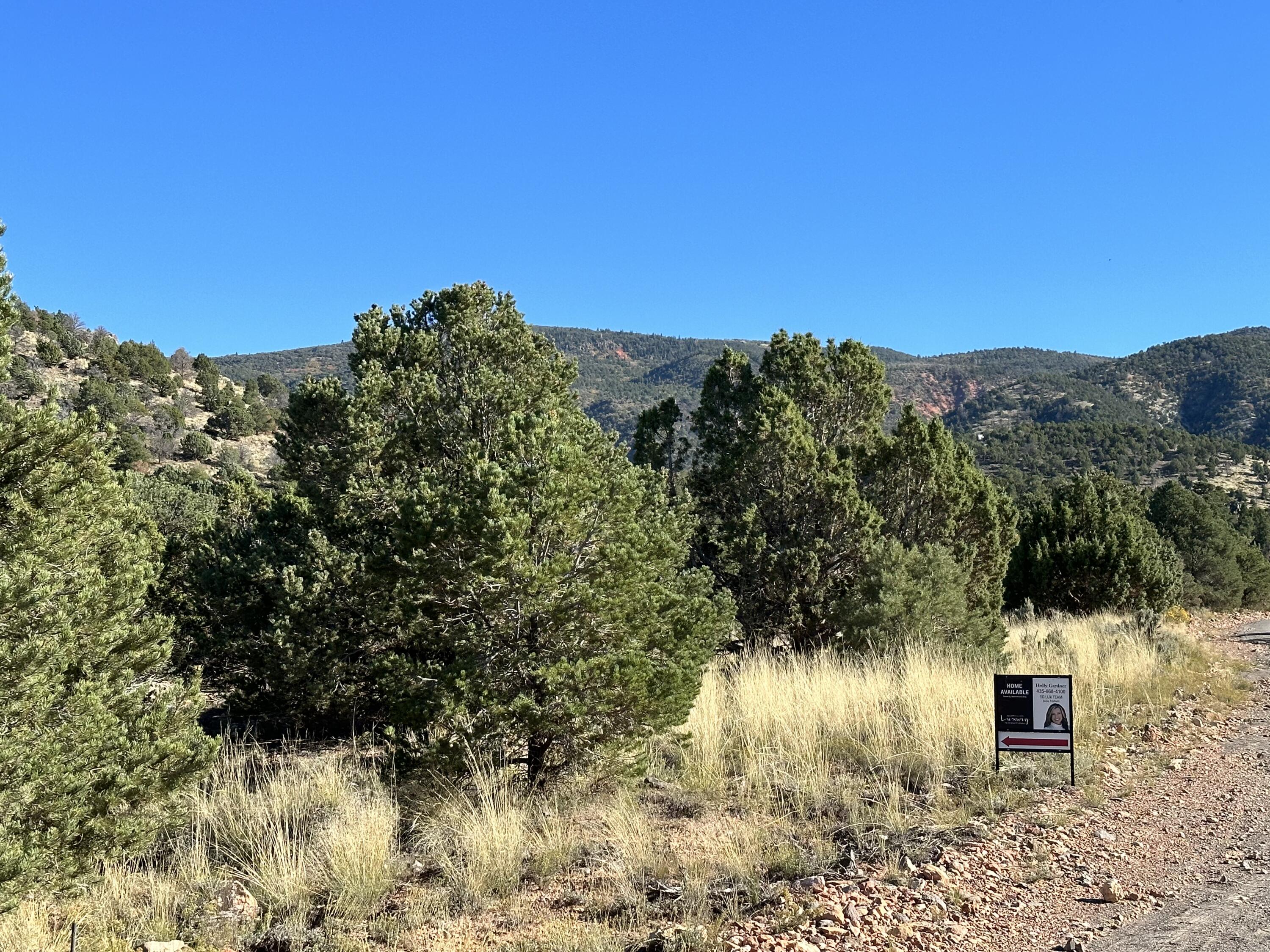 1503 S RED CANYON DR Unit: 28