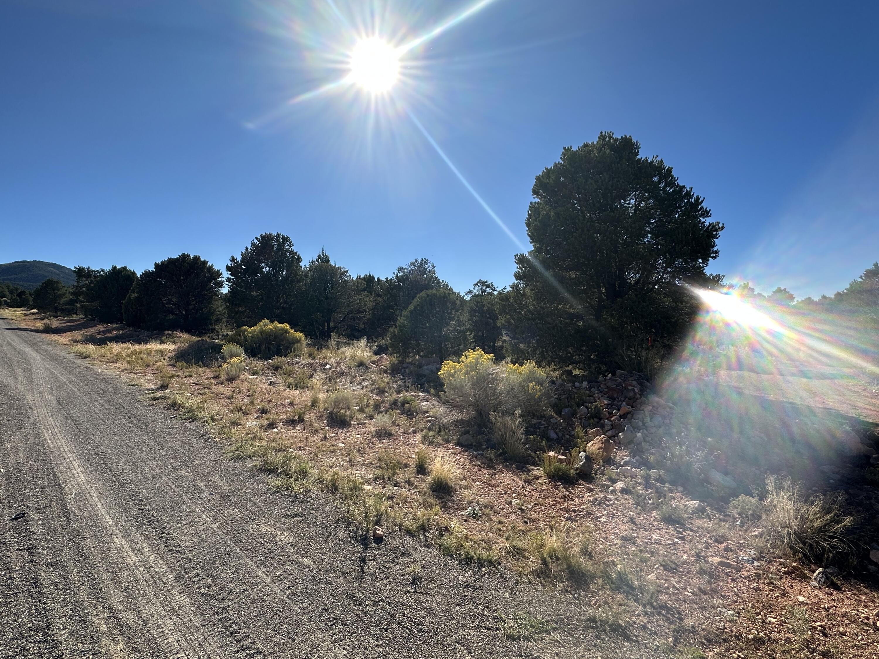 1503 S RED CANYON DR Unit: 28