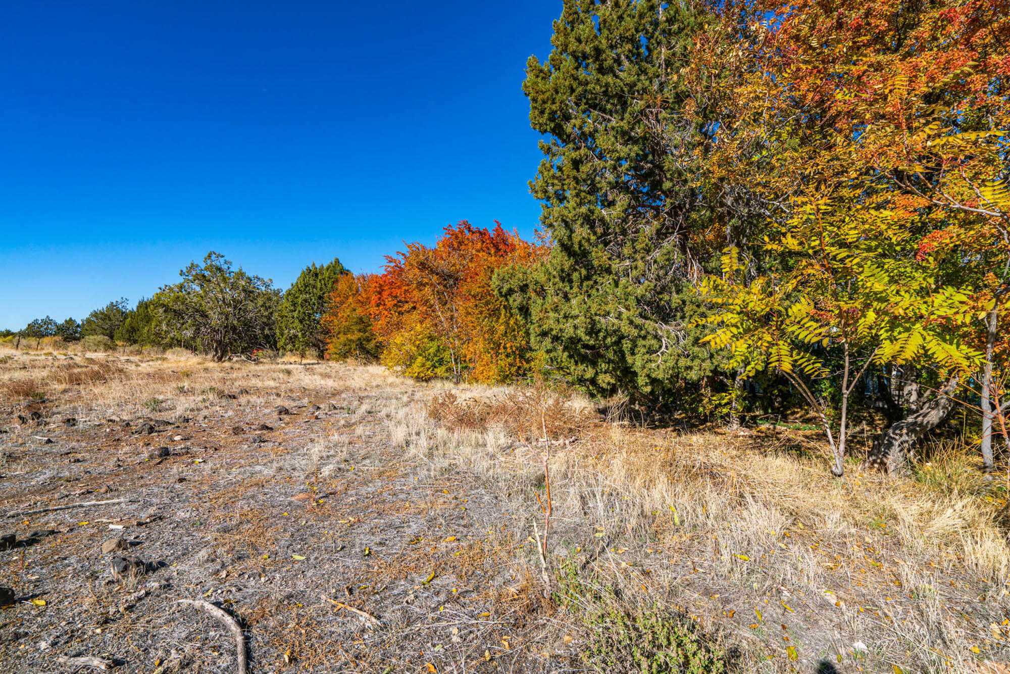 104 S Spanish Trail DR