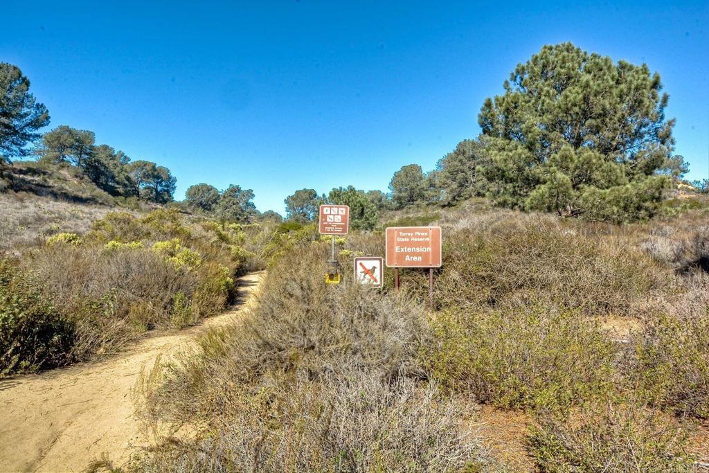 12843 Caminito Del Canto