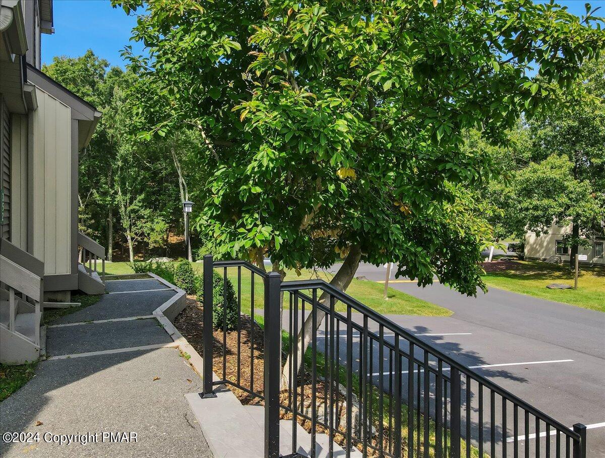 Residential walkway with black railings and steps beneath a large leafy tree.