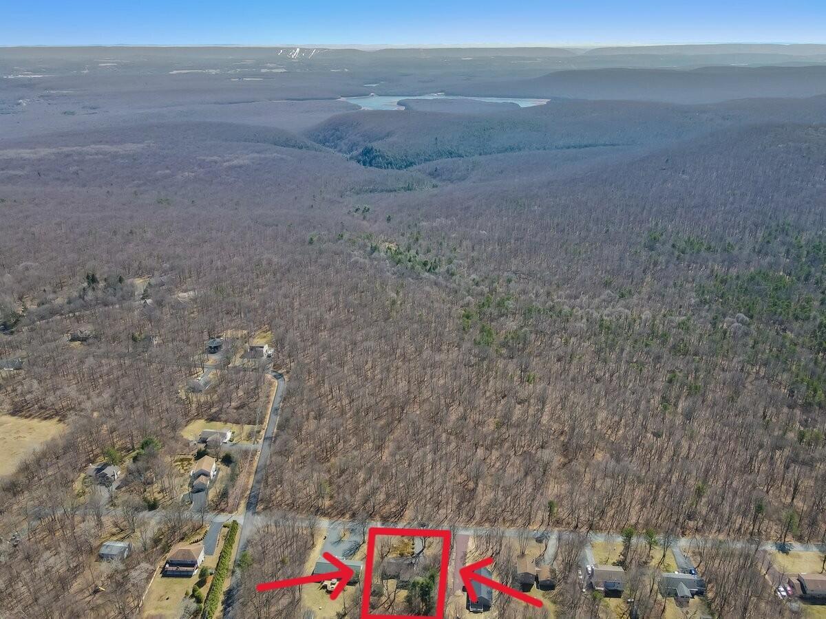 297 Petrarch Trail