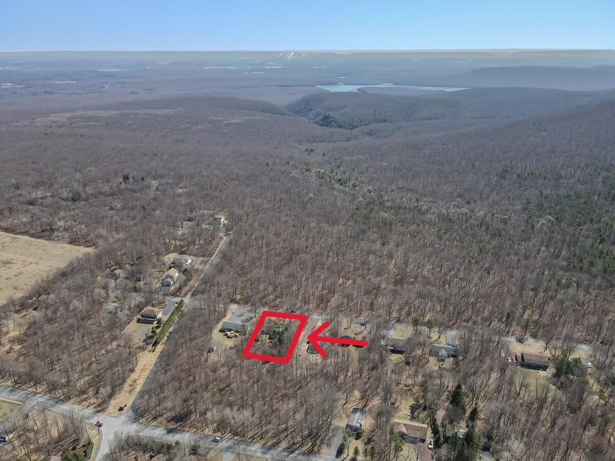 297 Petrarch Trail