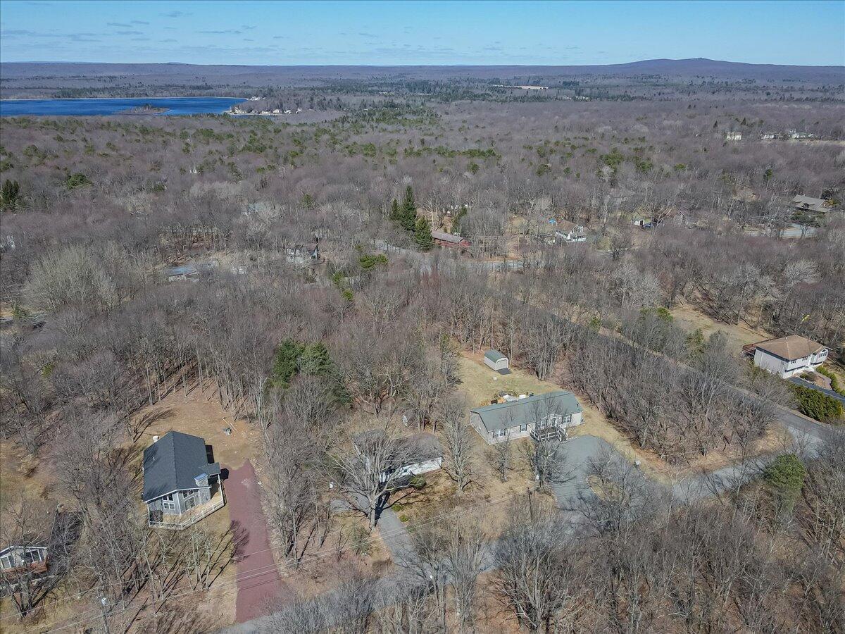 297 Petrarch Trail
