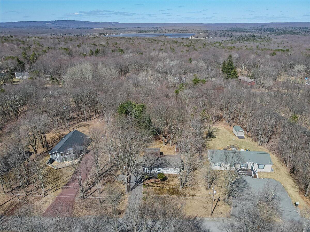 297 Petrarch Trail