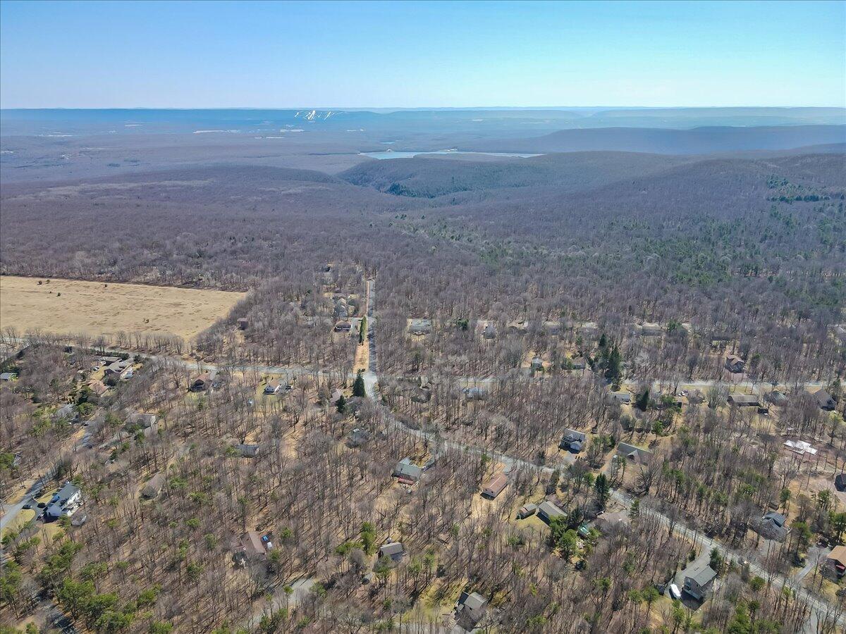 297 Petrarch Trail