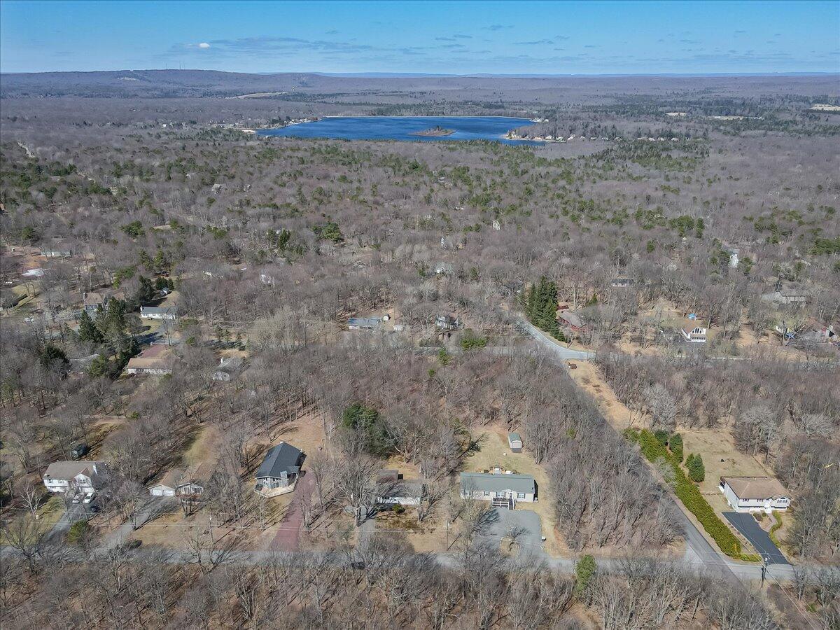 297 Petrarch Trail