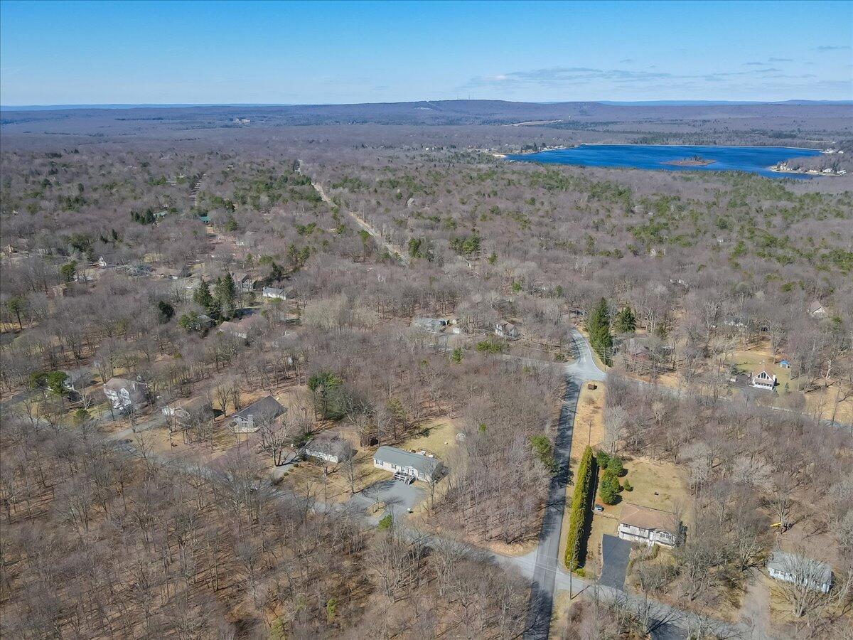 297 Petrarch Trail