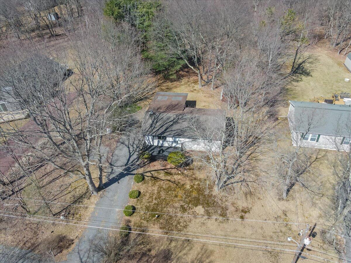 297 Petrarch Trail