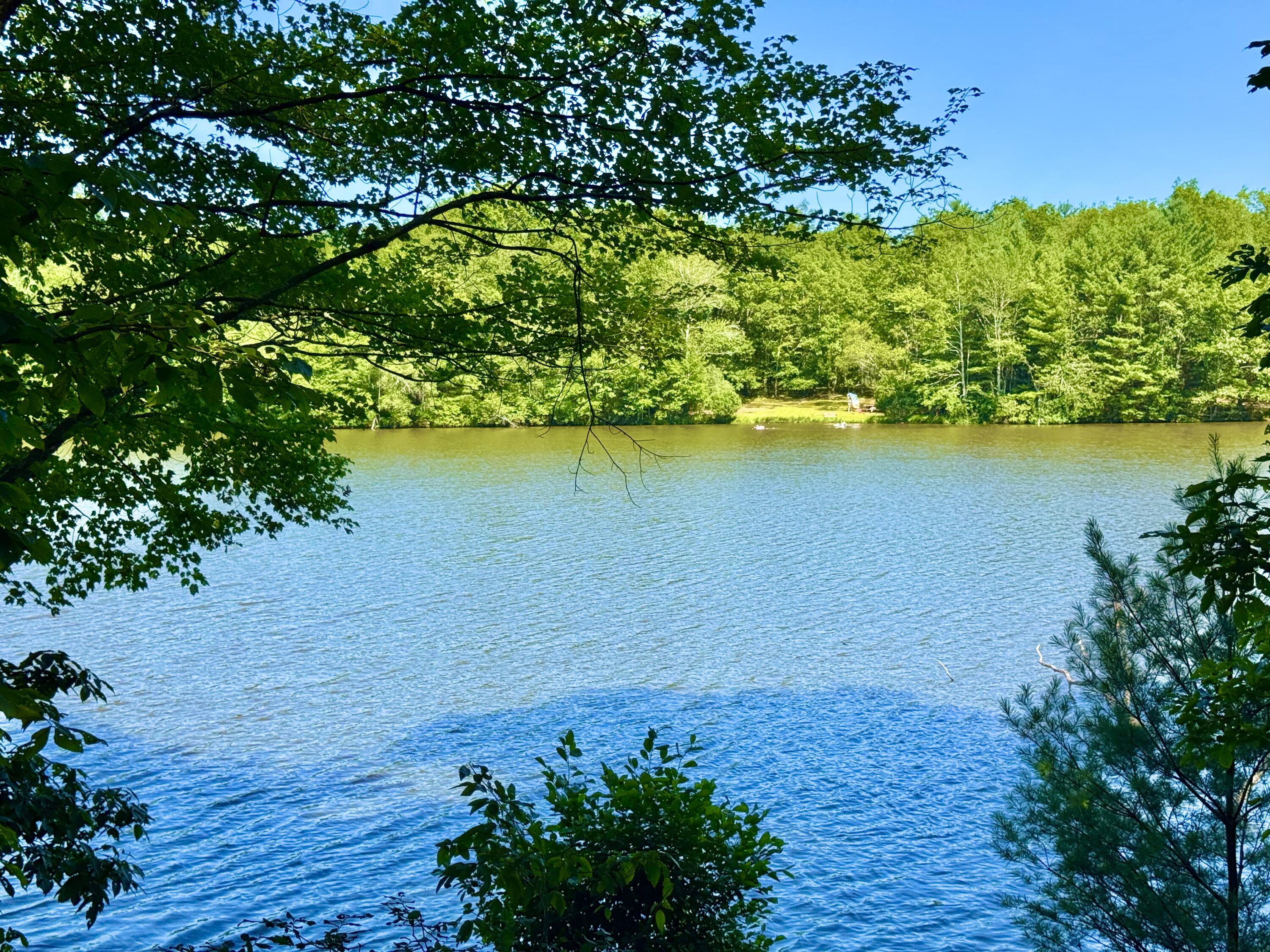 133 Panorama Trail
