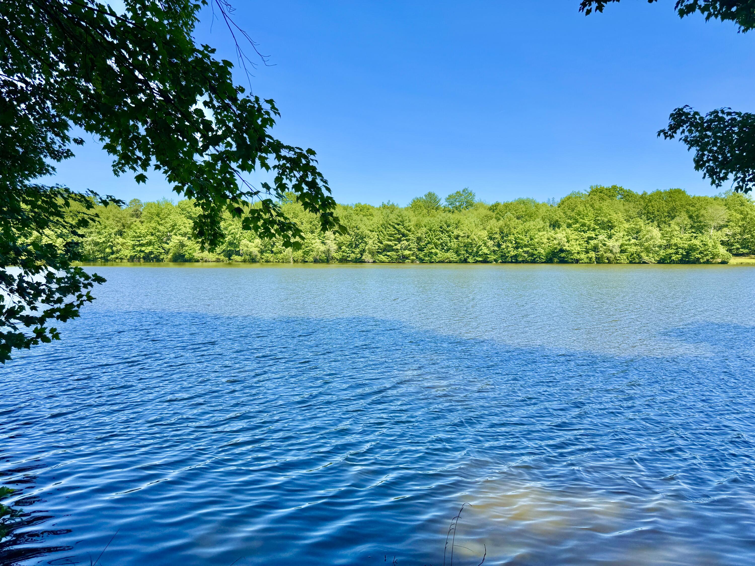 133 Panorama Trail