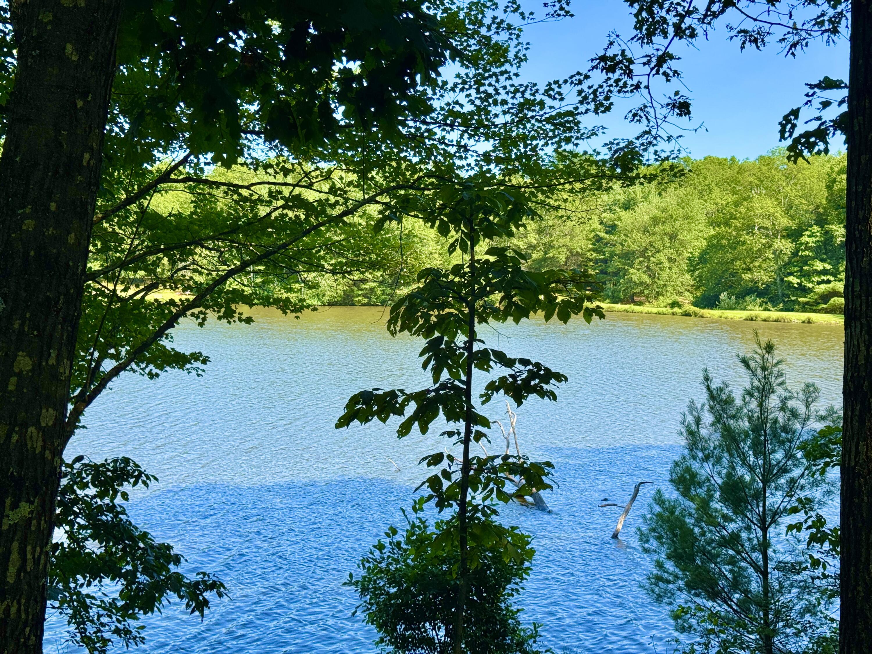 133 Panorama Trail