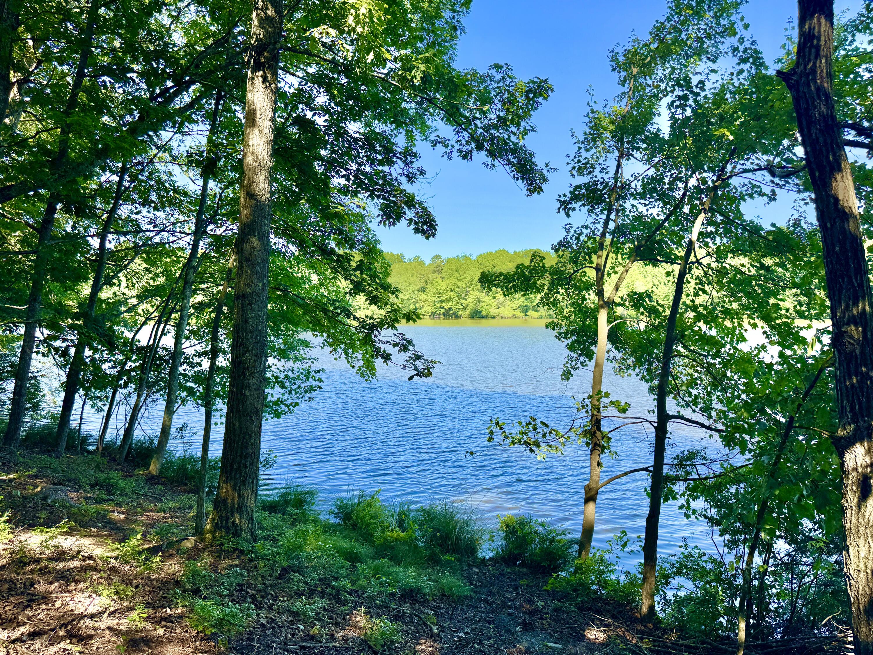 133 Panorama Trail