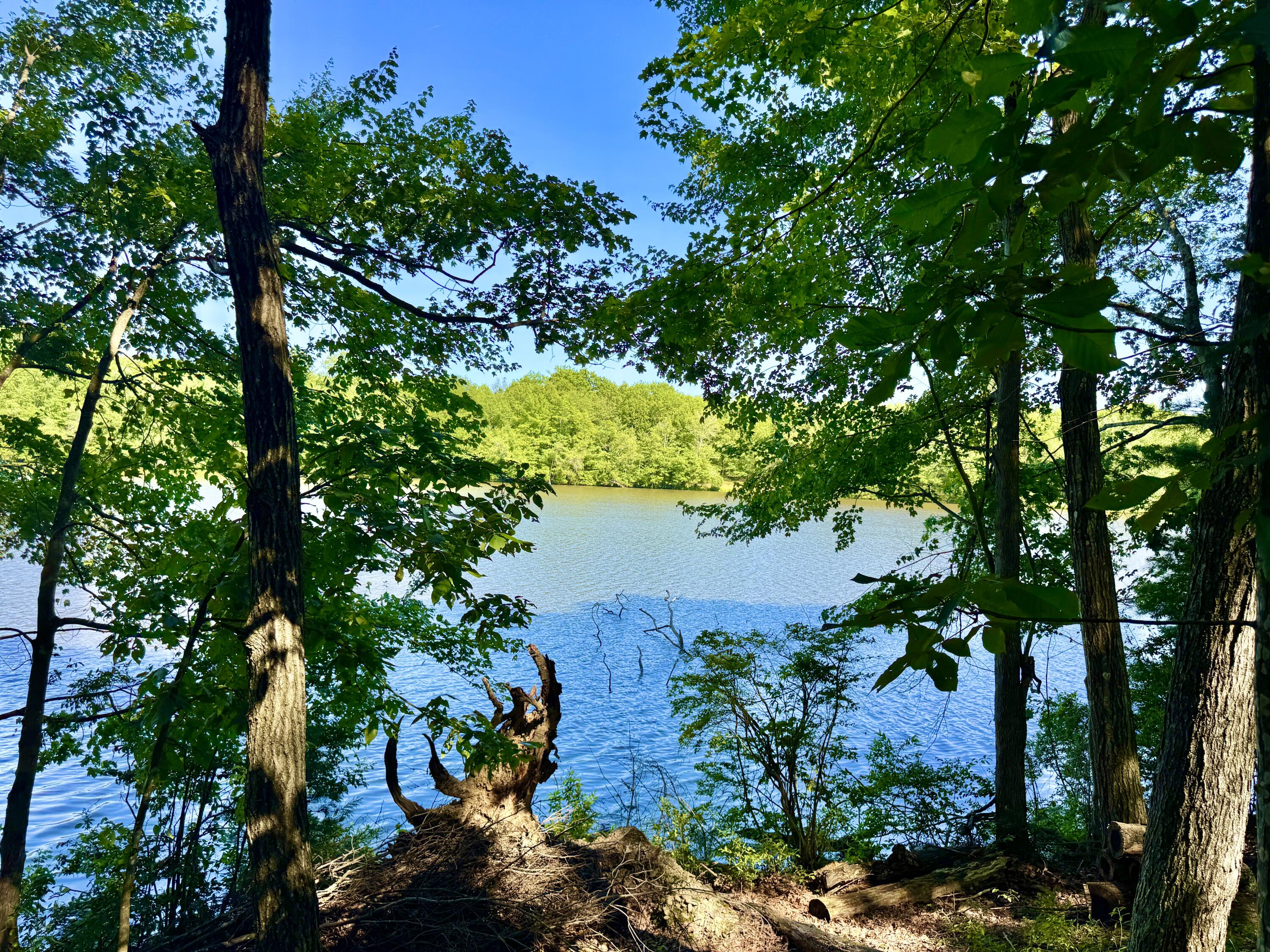 133 Panorama Trail