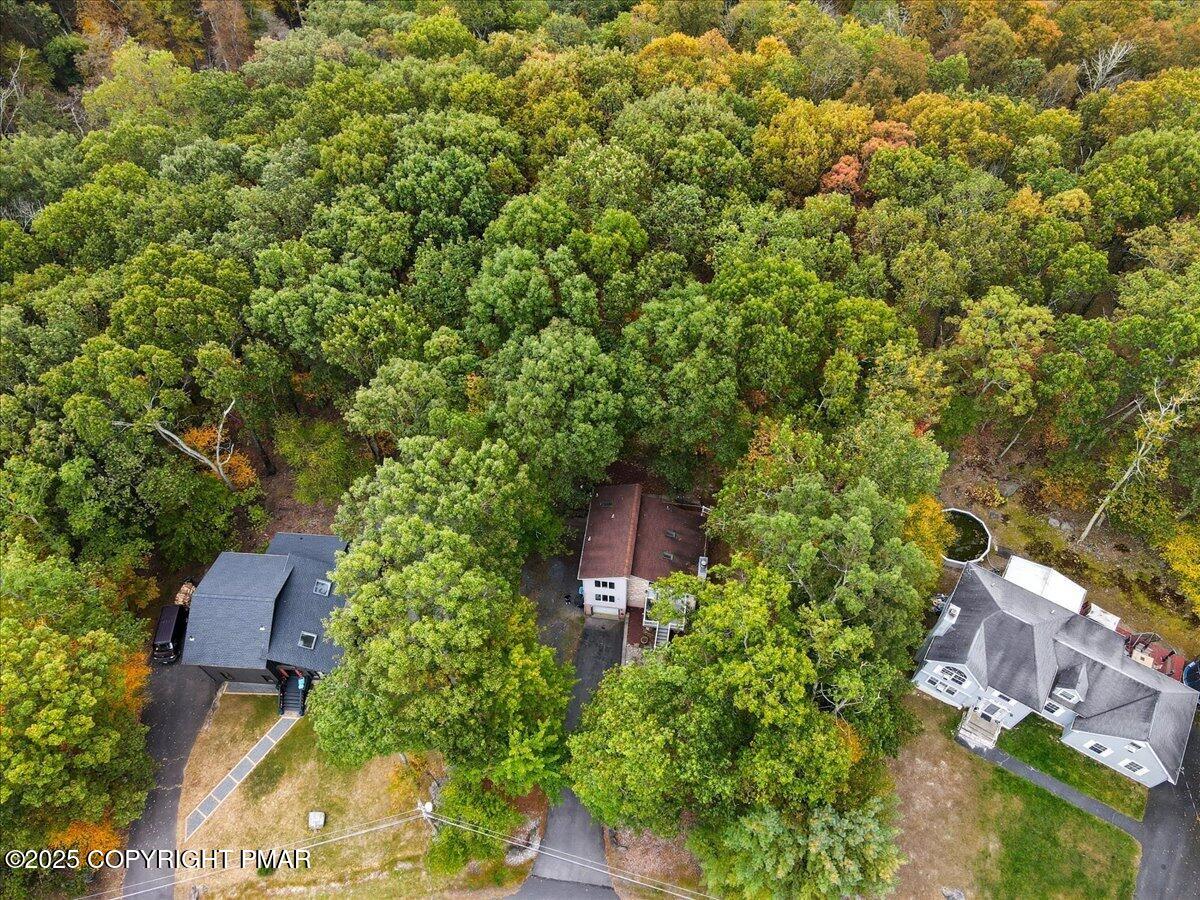 445 Hyland Drive