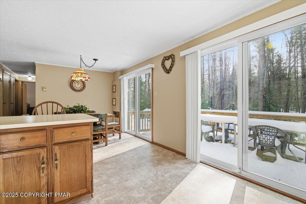 2134 Sheshequin Drive