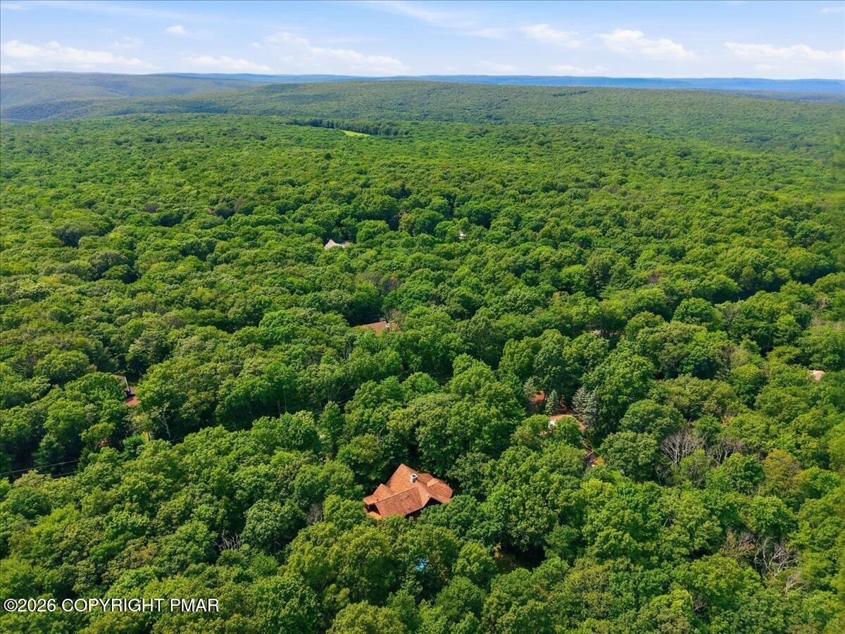 41 Hemlock Drive