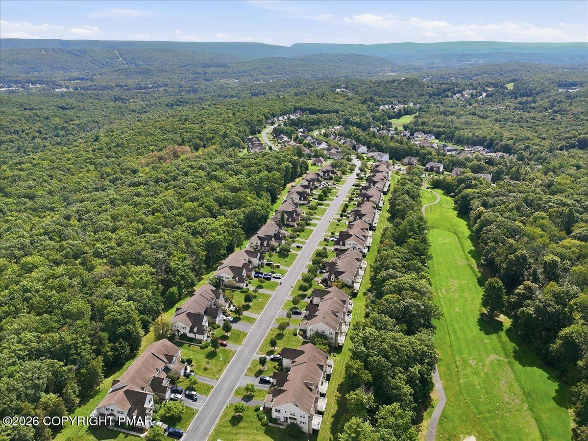 Aerial view of homes along a neighborhood road, bordered by forest and green open space, with distant mountain ridges.