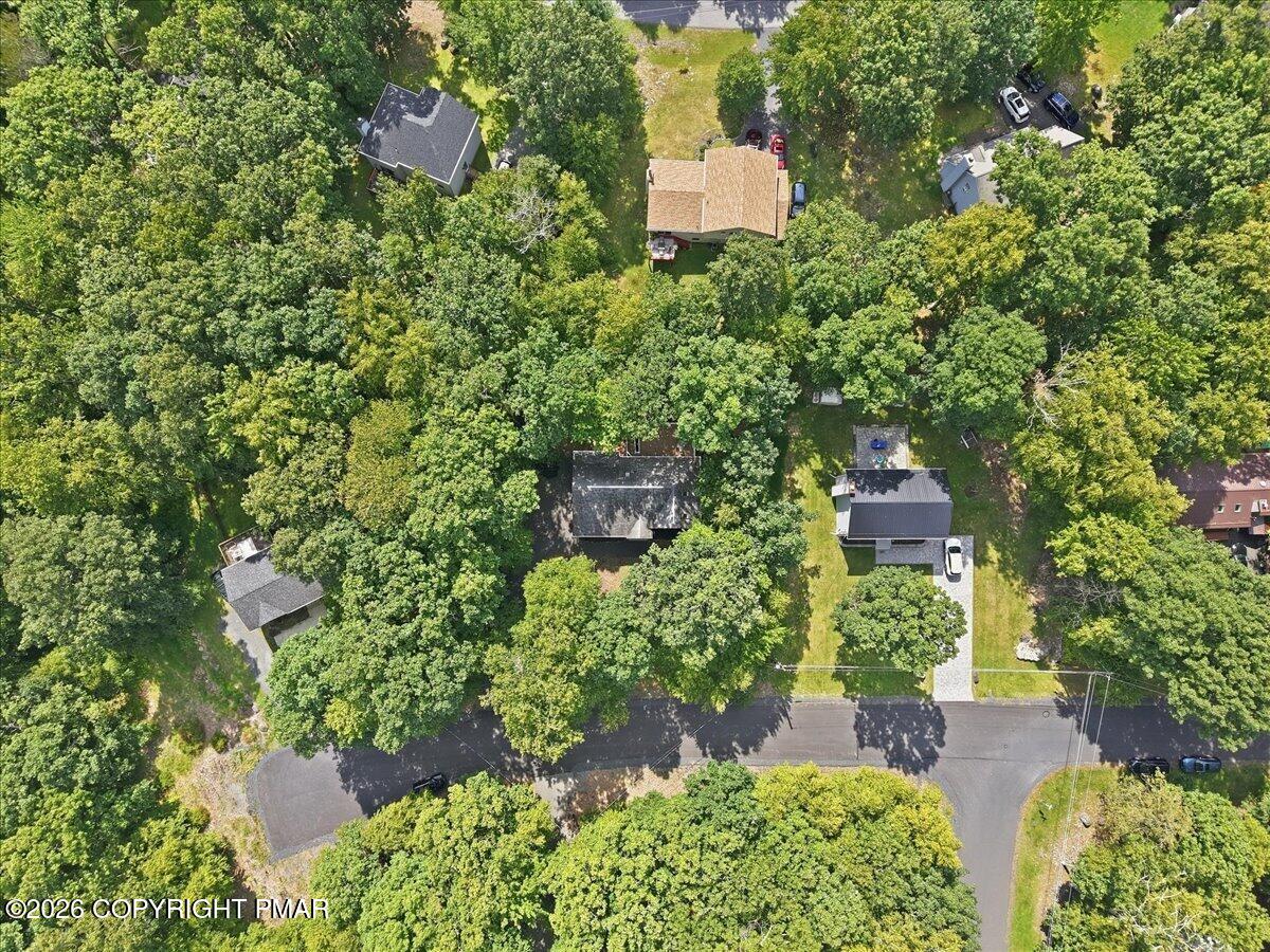 Aerial view of homes among dense trees along a residential road.