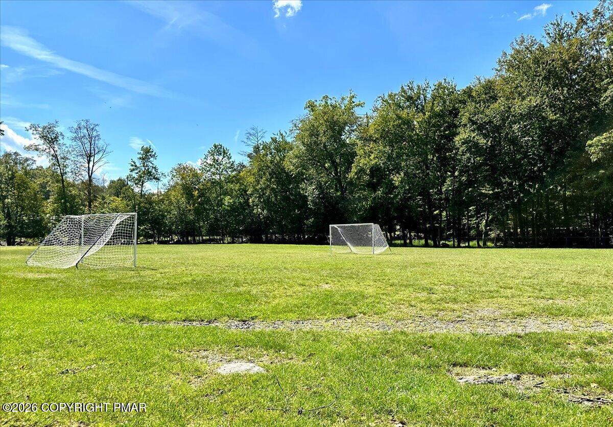 Grassy field with two soccer goals and a wooded tree line.