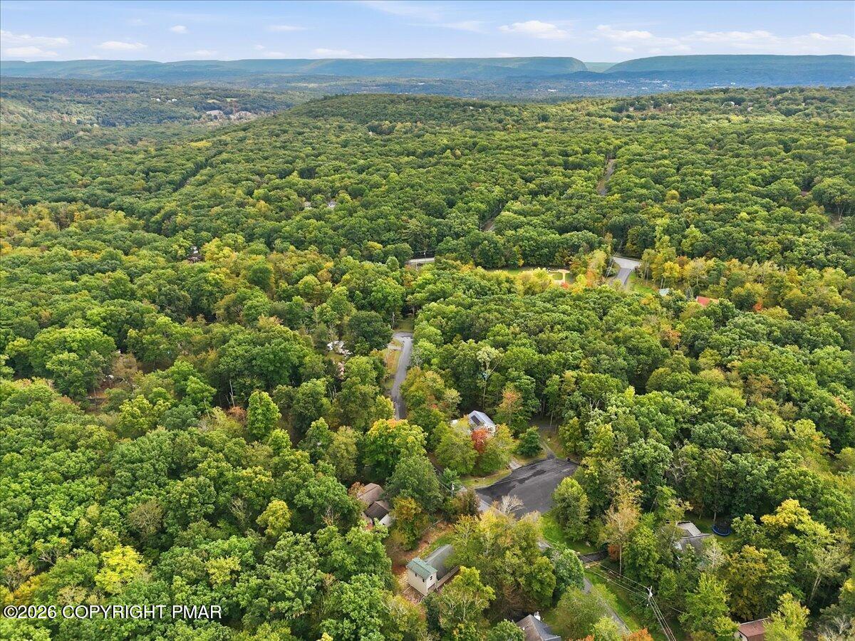 Aerial view of a wooded neighborhood with scattered homes and distant mountain ridges.