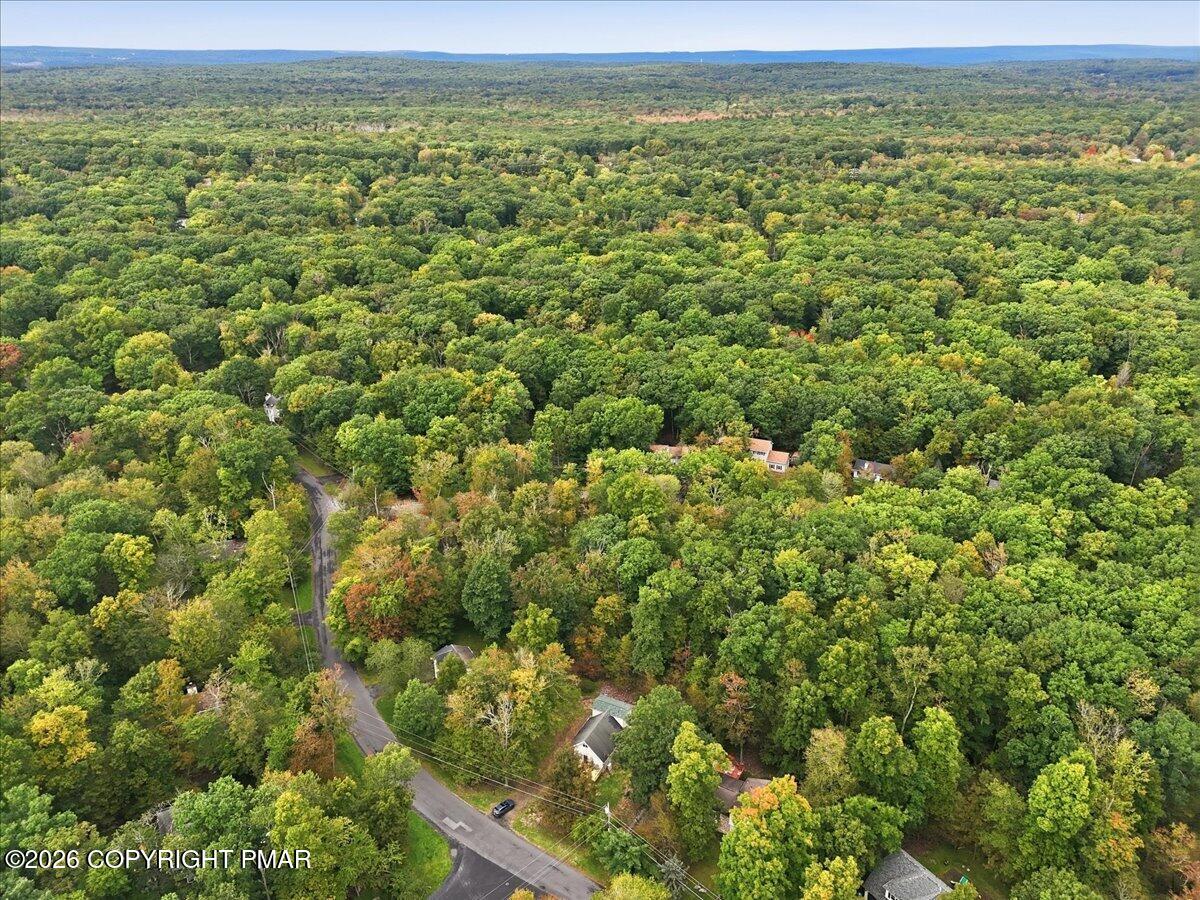 Aerial view of wooded homes and winding roads surrounded by dense forest.