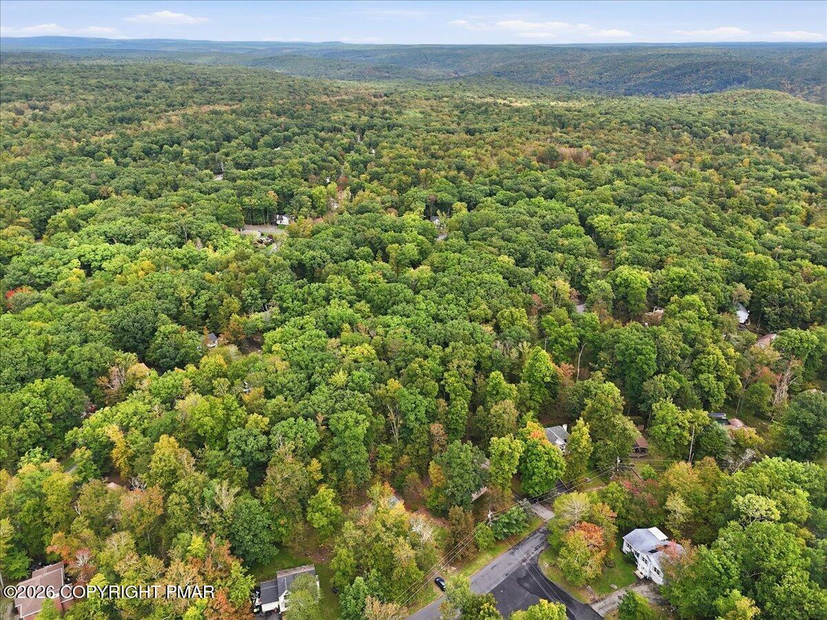 Aerial view of a wooded residential neighborhood with distant mountain ridges.