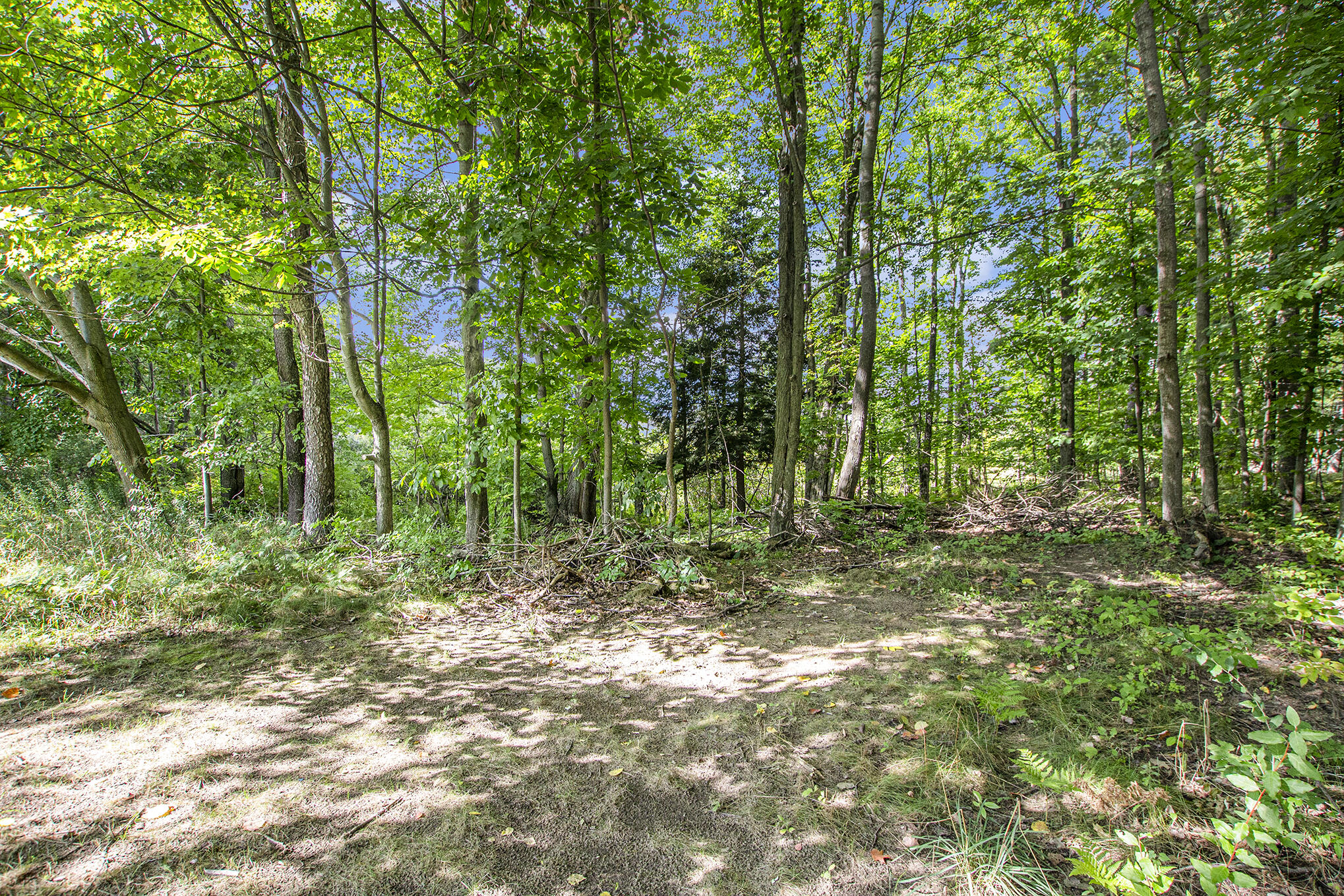 11430 W Broomfield Road