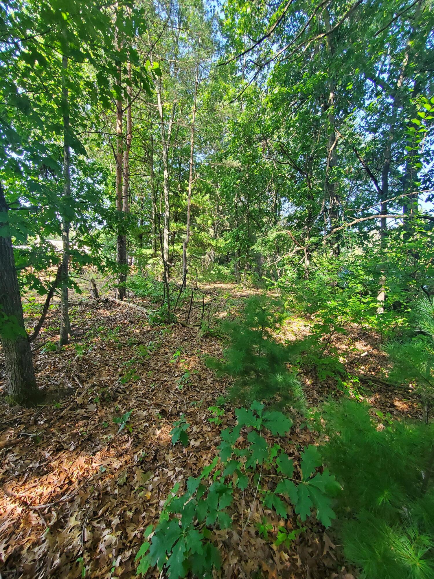 10549 Northland Drive NE