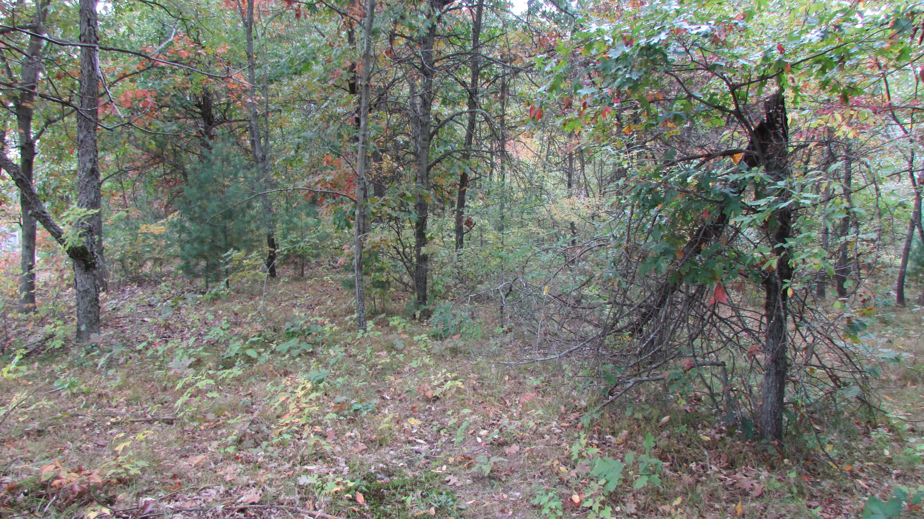 10549 Northland Drive NE