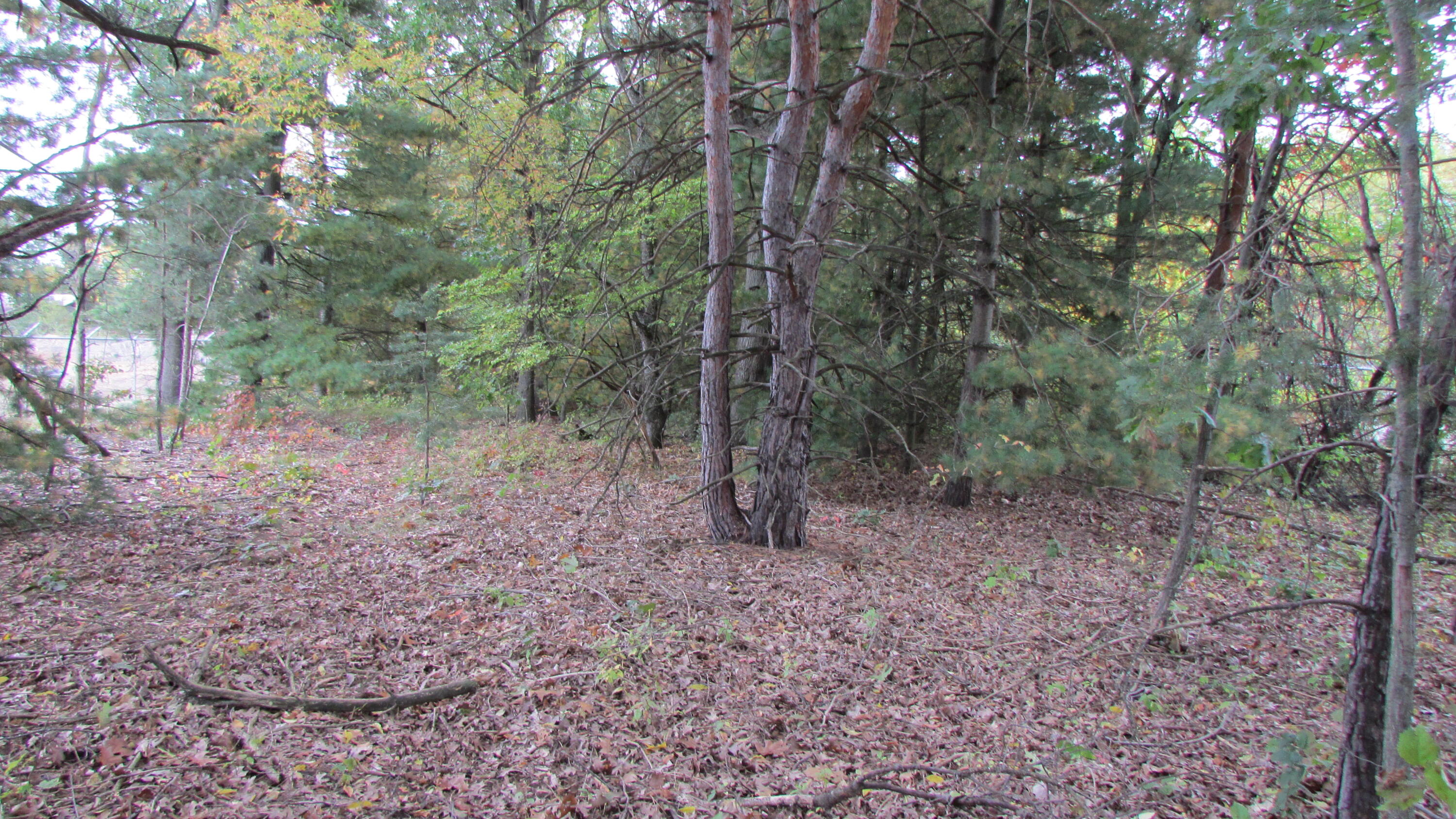 10549 Northland Drive NE