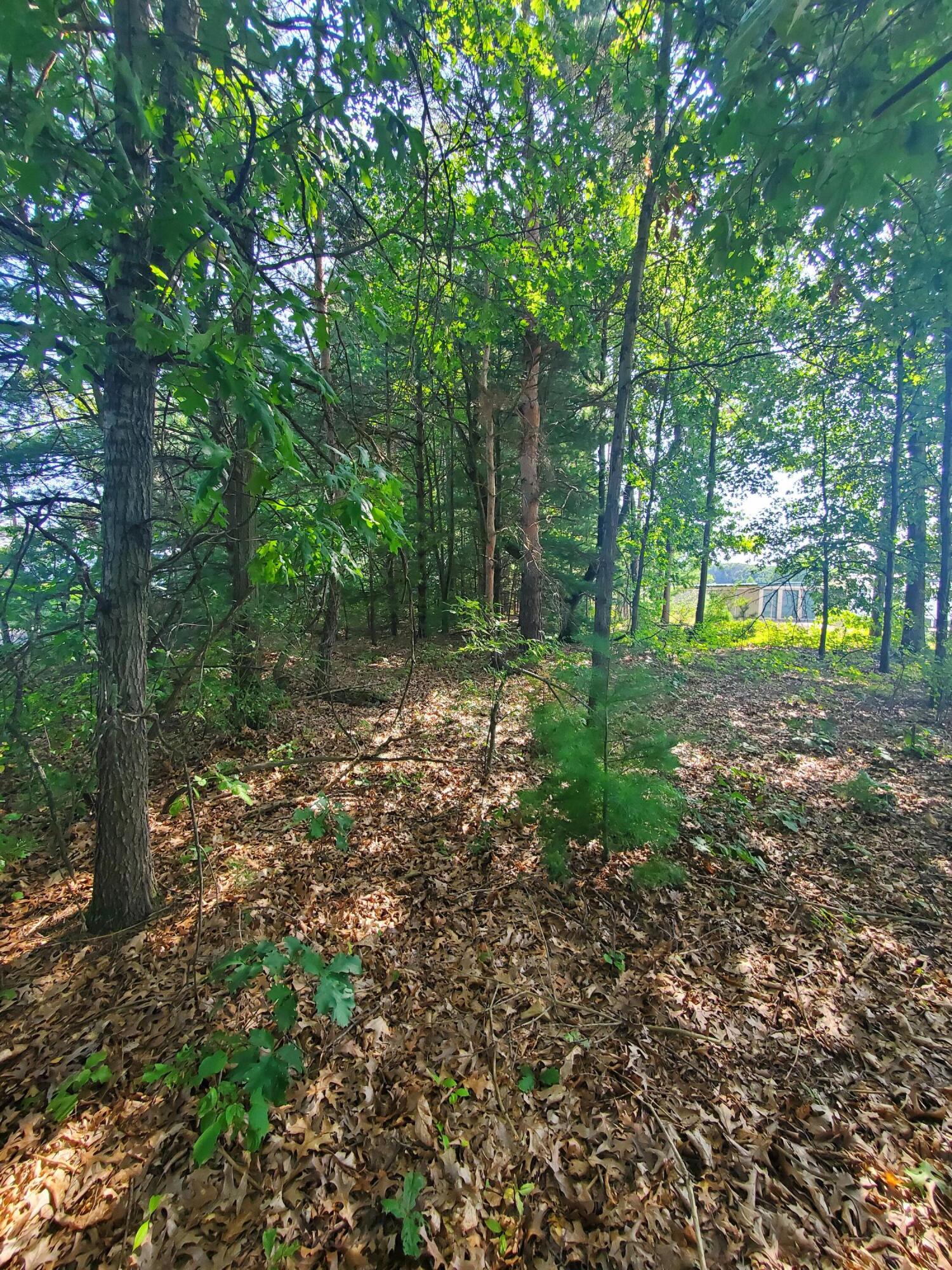 10549 Northland Drive NE