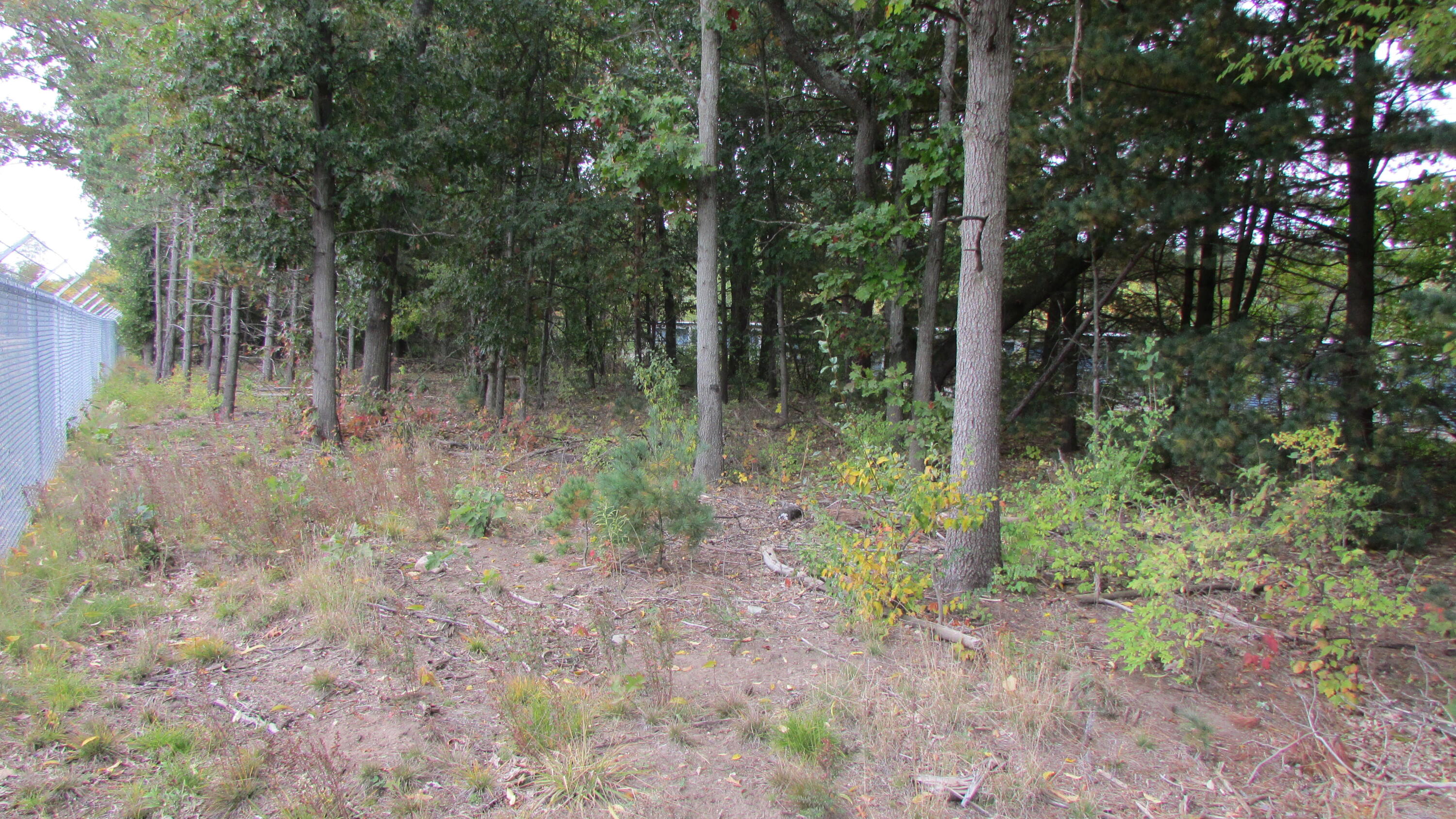 10549 Northland Drive NE