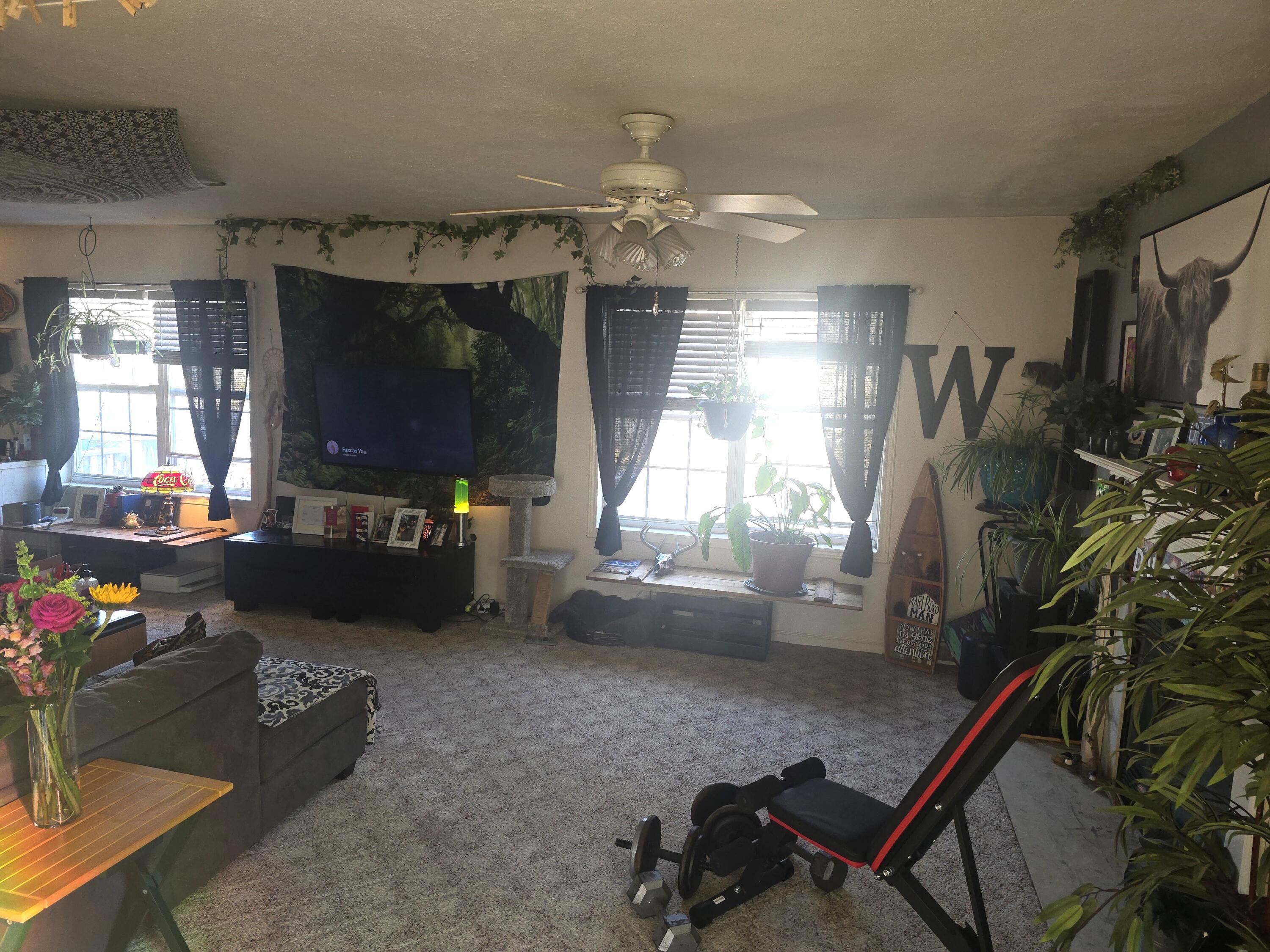 4314 Meadowsweet Lane