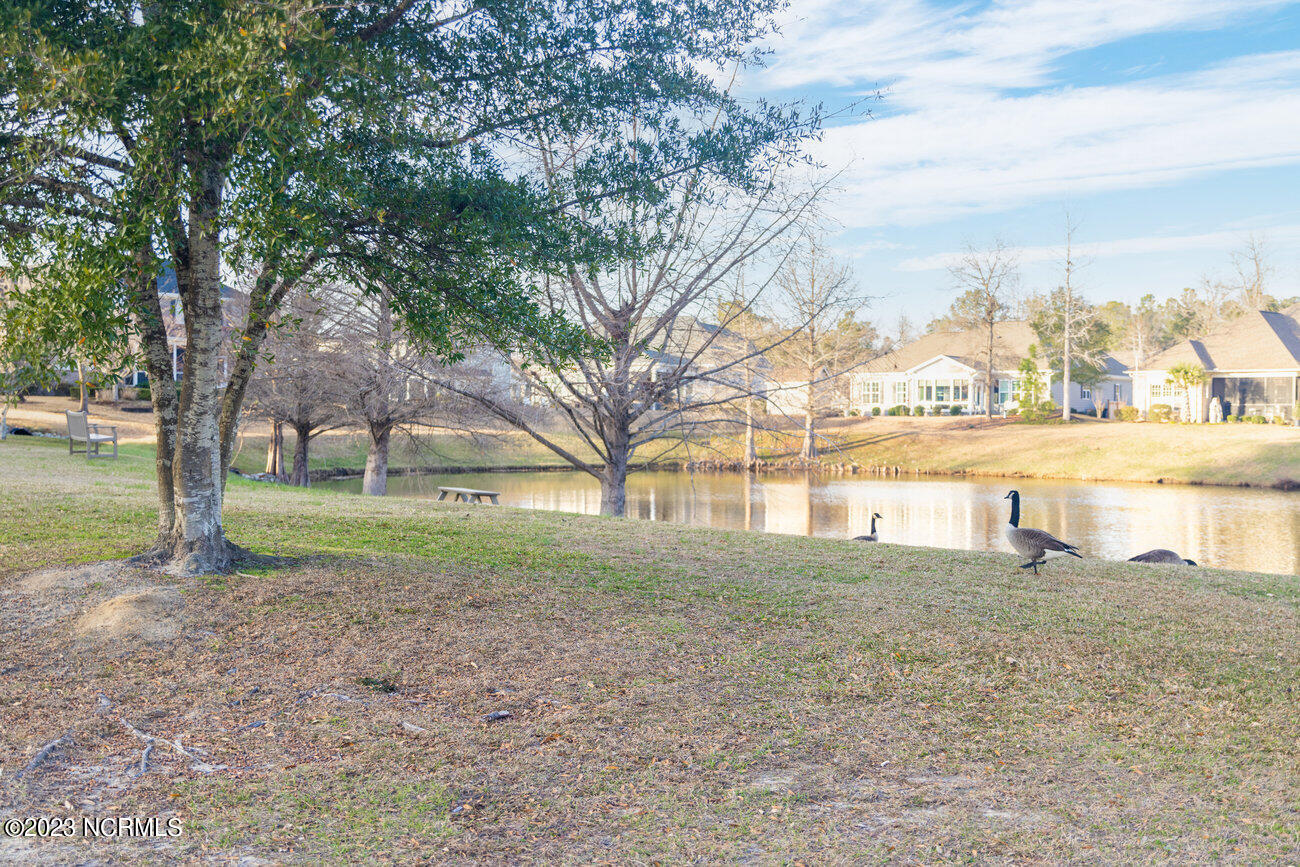 8901 New Forest Drive