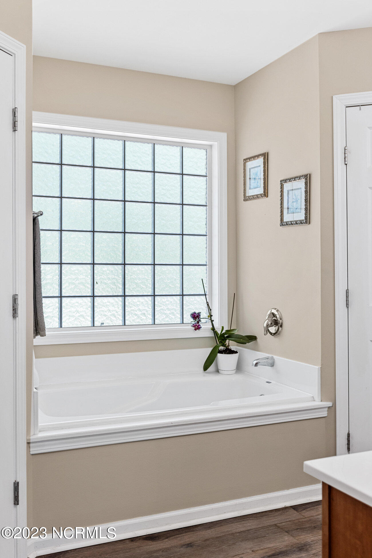 315 Dove Field Court