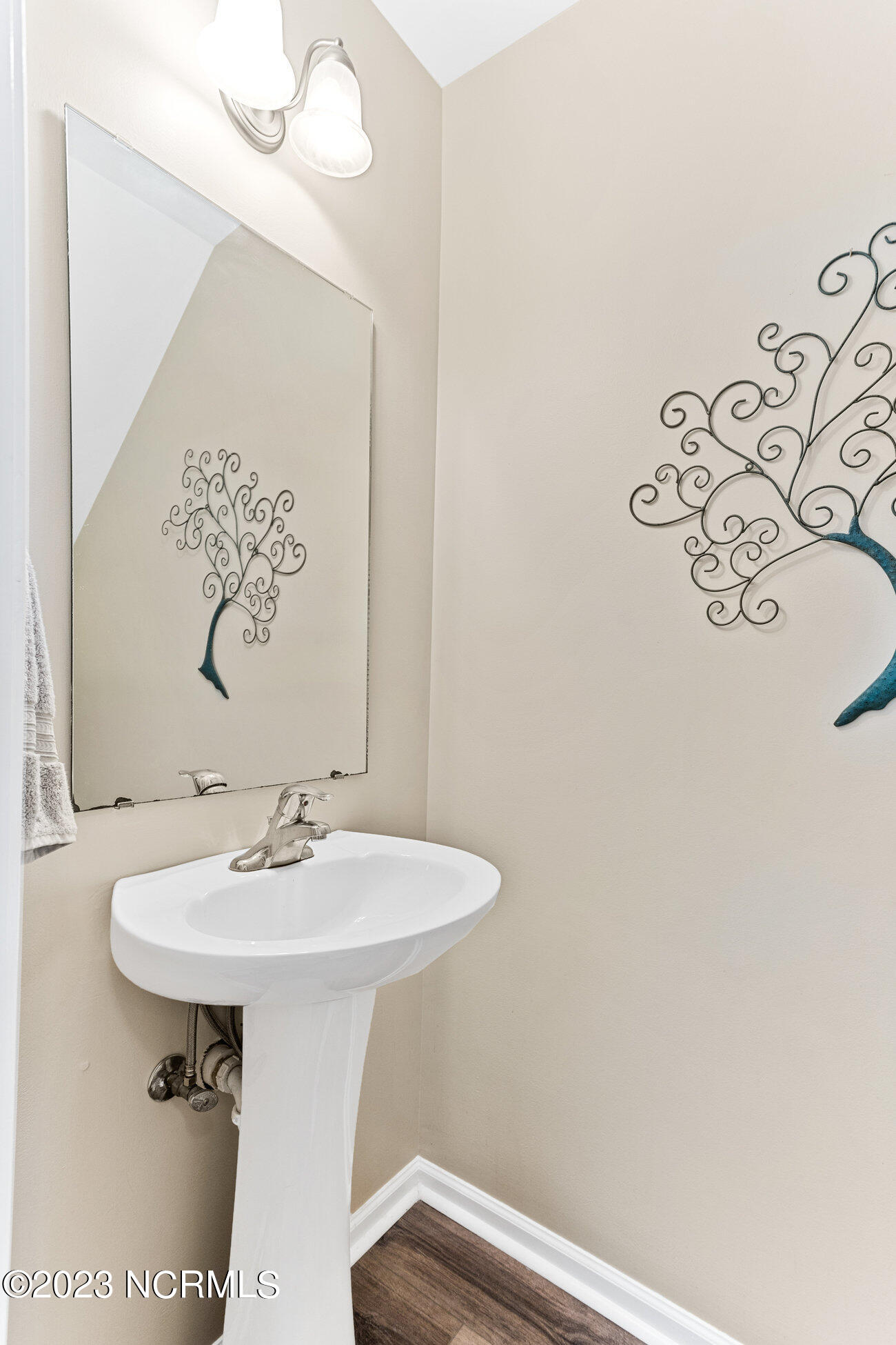 315 Dove Field Court