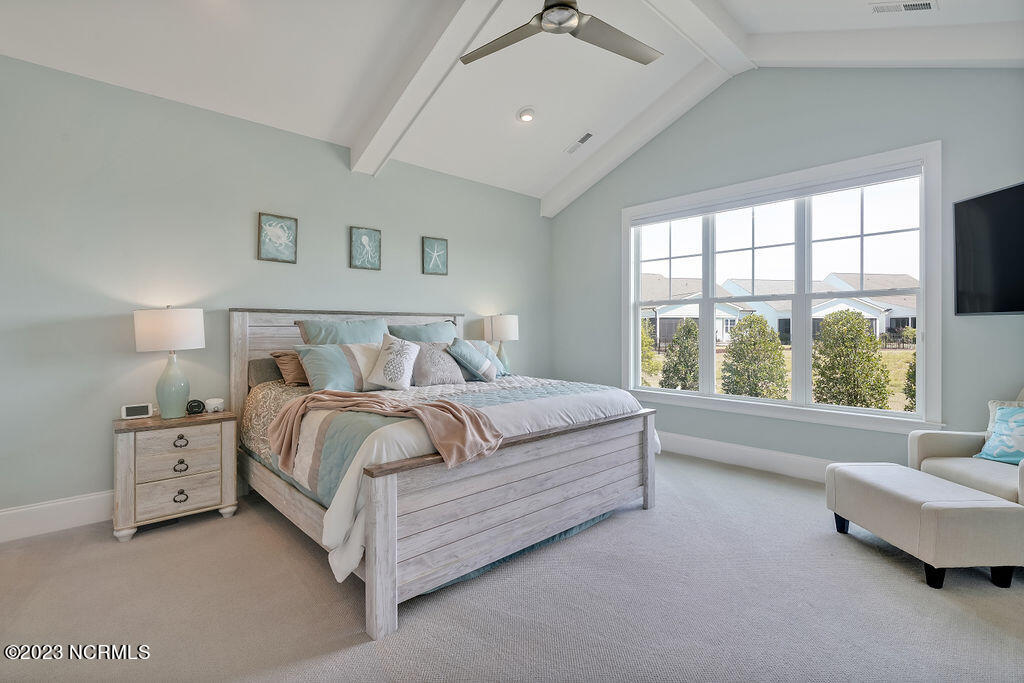 3319 Oyster Tabby Drive