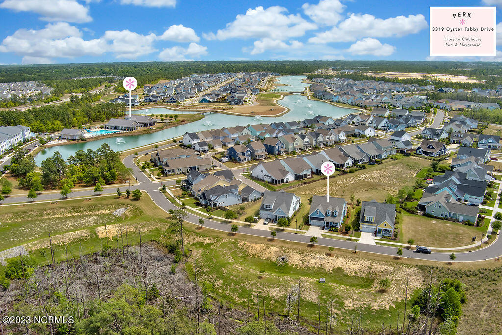 3319 Oyster Tabby Drive