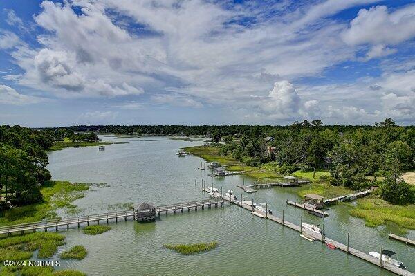 706 Everetts Creek Drive