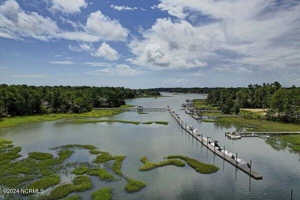 706 Everetts Creek Drive