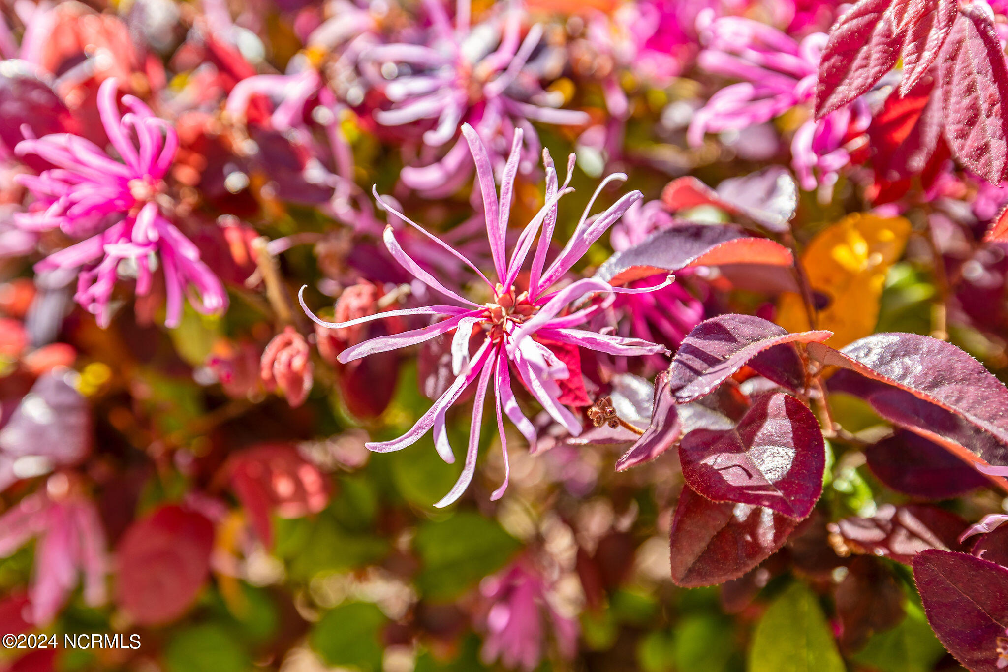 543 Esthwaite Drive SE