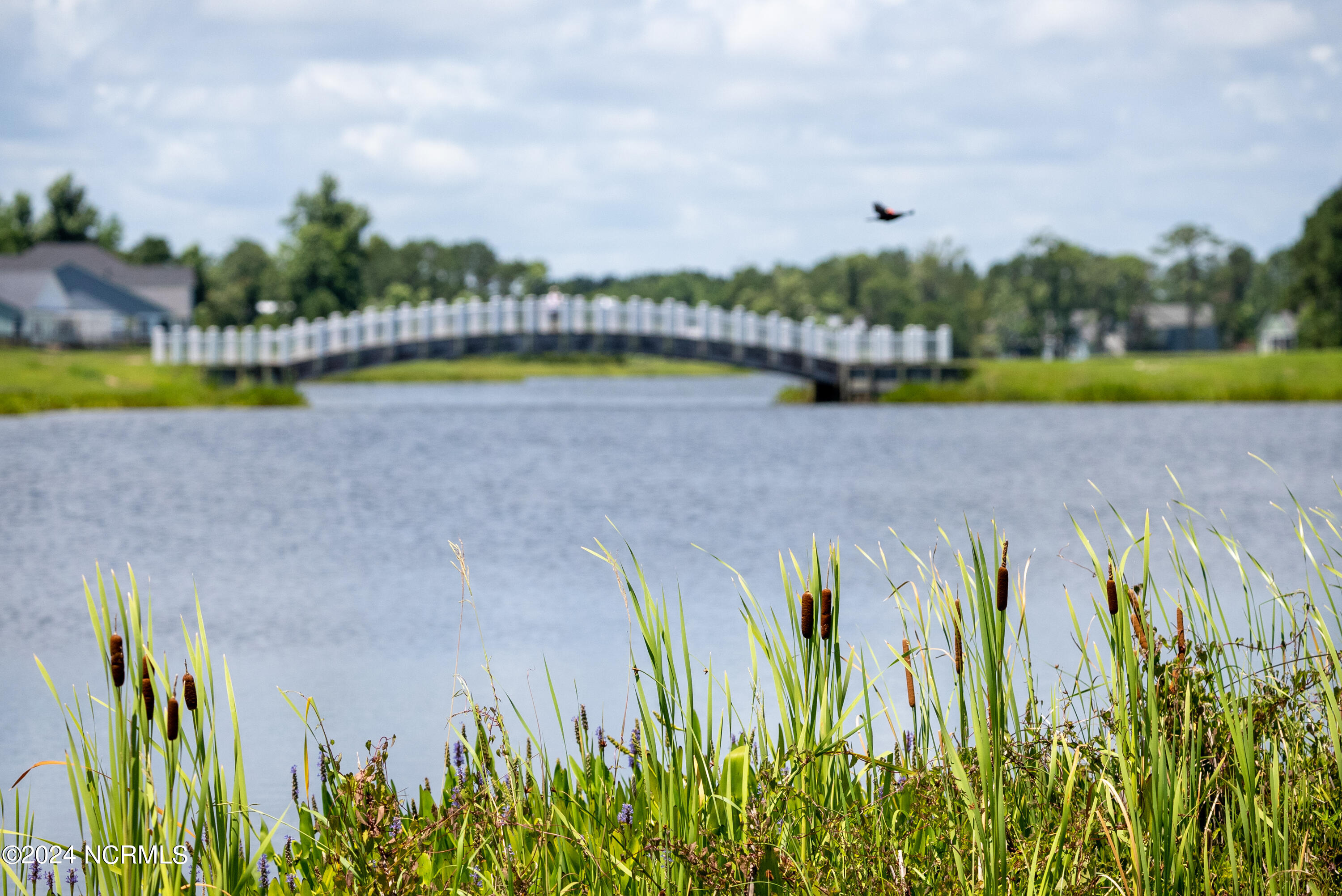 346 Lake Firefly Loop