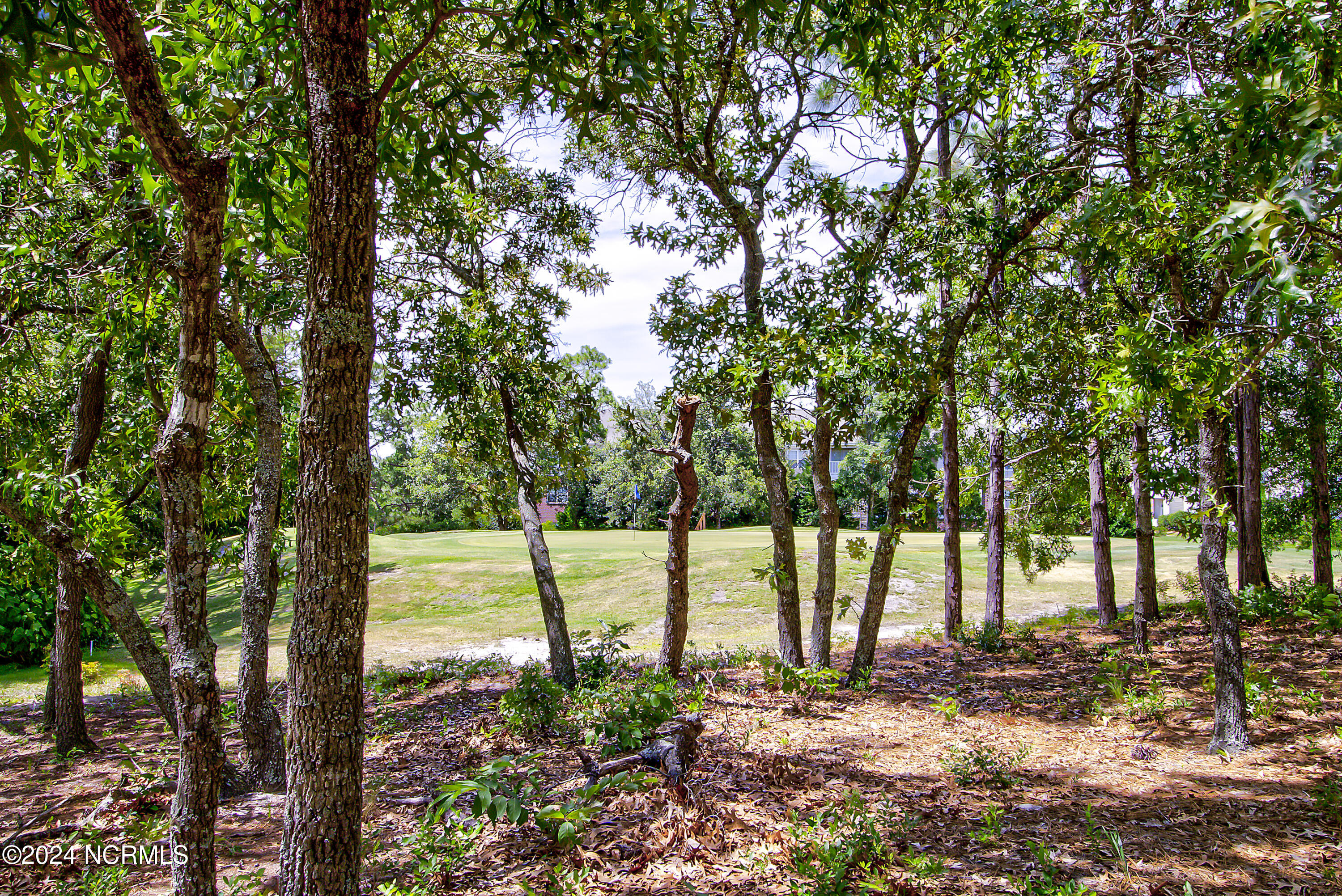 6103 Willow Glen Drive