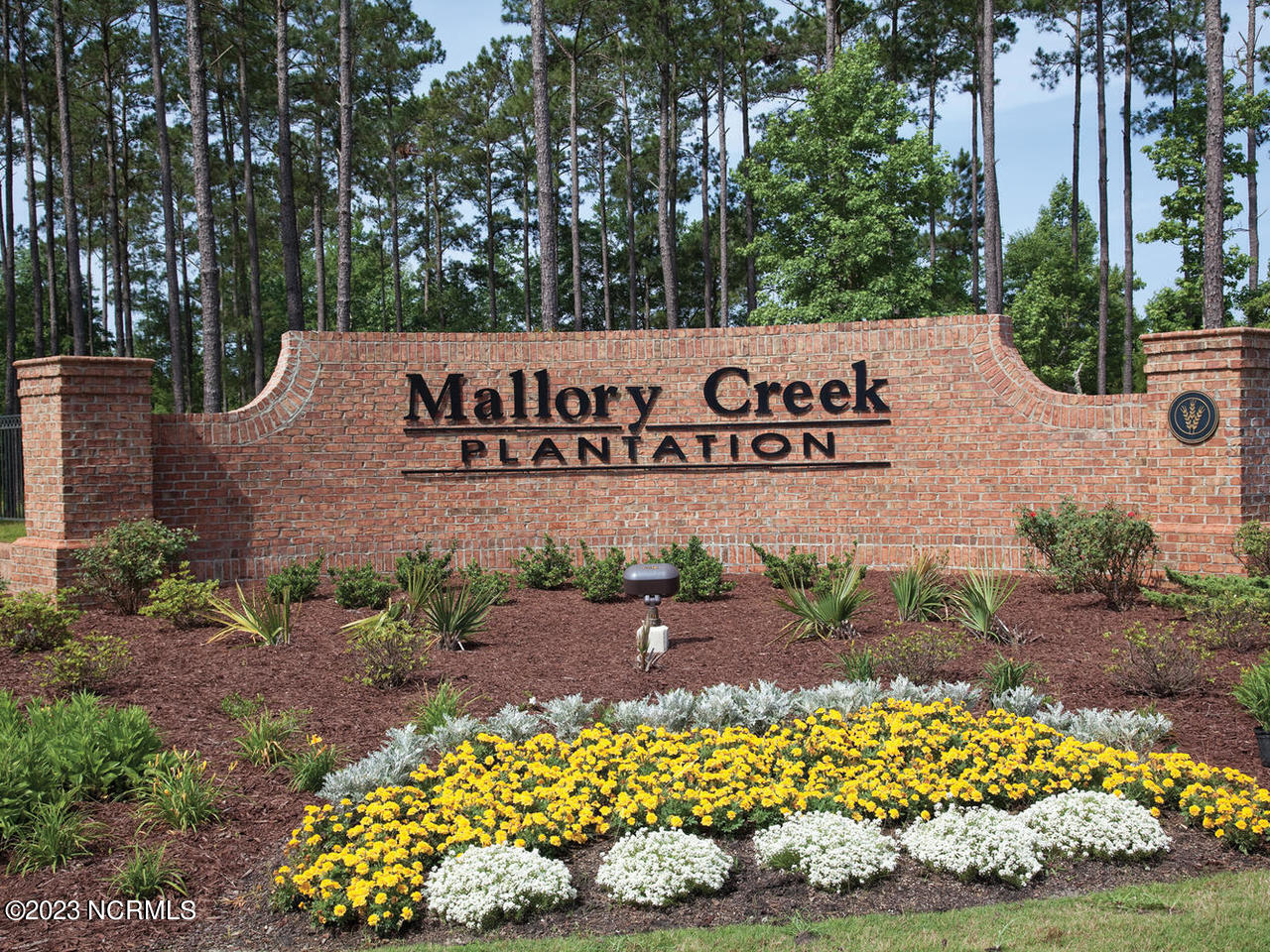 1202 King Eider Way Lot 356