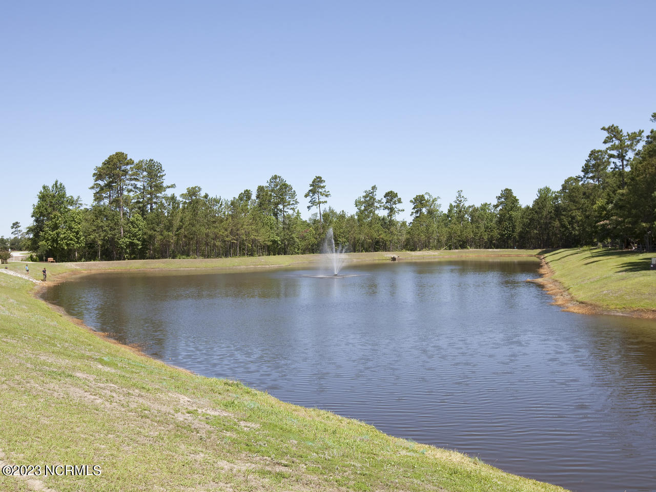 1202 King Eider Way Lot 356