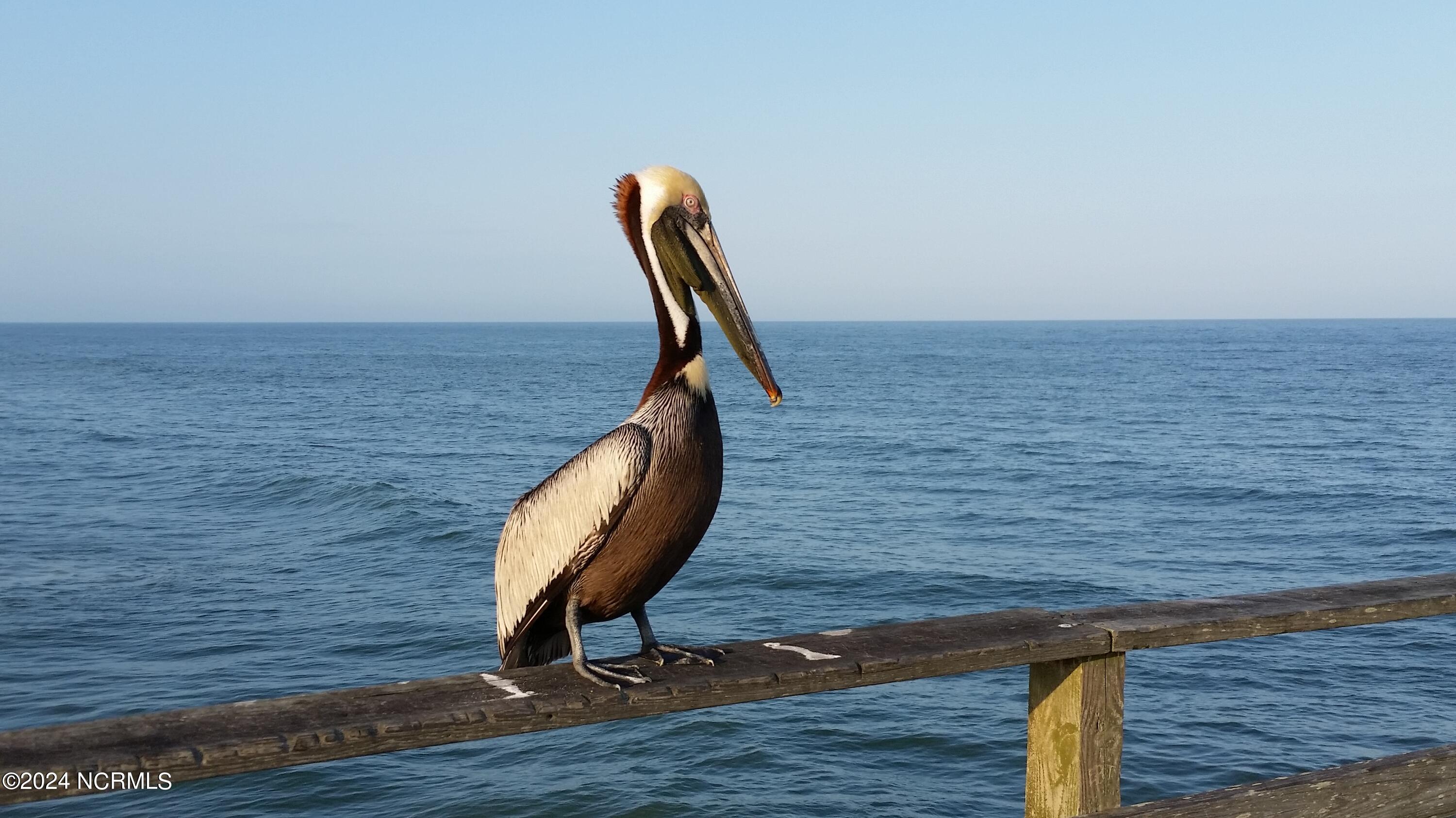 117 Florida Avenue, 2b