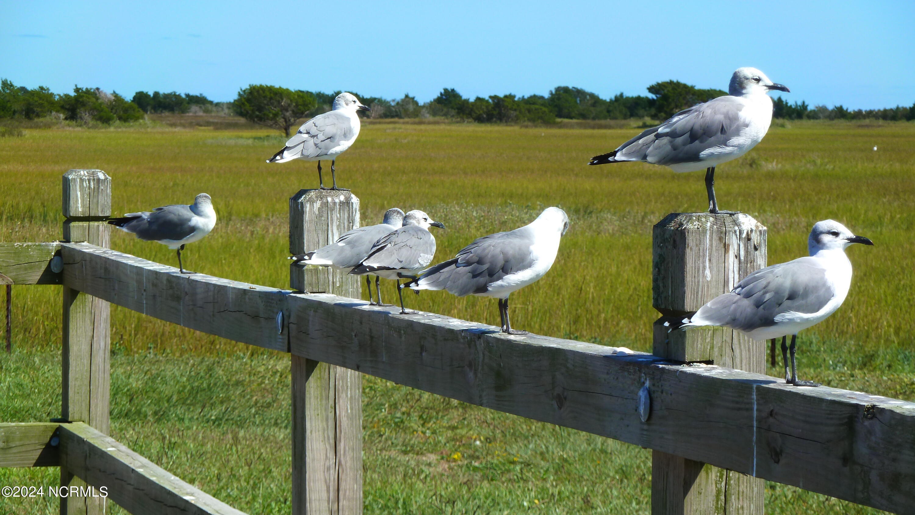 622 Sloop Pointe Lane